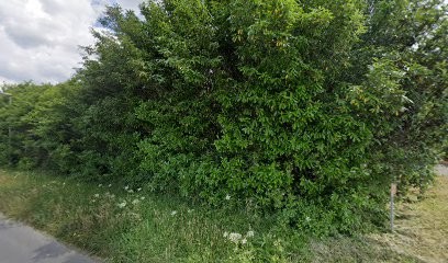 Menuiserie, Ébénisterie, Scierie REBACZ Frédéric, Magasin de Meubles et Décoration à Seulline