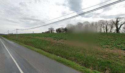 SARL (Artisan Restauration du Patrimoine), Magasin de Meubles et Décoration à Rémalard en Perche