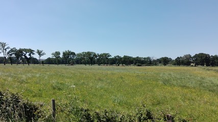 Delorme Guy, Magasin de Meubles et Décoration à Saint-Jacques-de-la-Lande