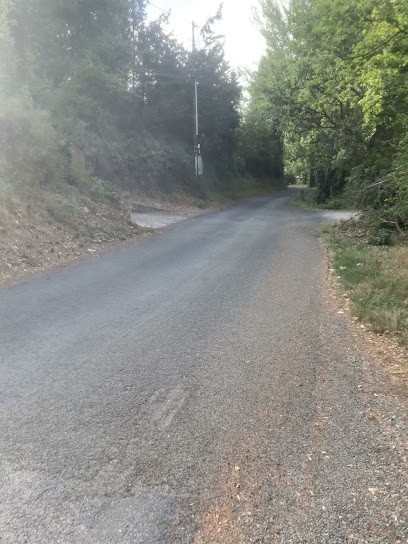 S.e.e.m Bois, Magasin de Meubles et Décoration à Limoux