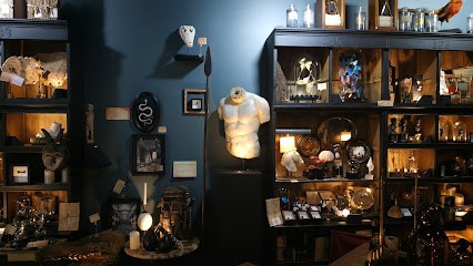 Vhome - cabinet de curiosités, Magasin de Meubles et Décoration à Sarlat-la-Canéda