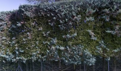 Campagno Sylviane, Fabricant de Meubles à Mougins