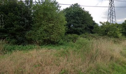 Guimard Menuiserie, Magasin de Meubles et Décoration à Laignelet