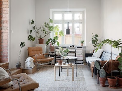 NordikDNA, Magasin de Meubles et Décoration à Garancières