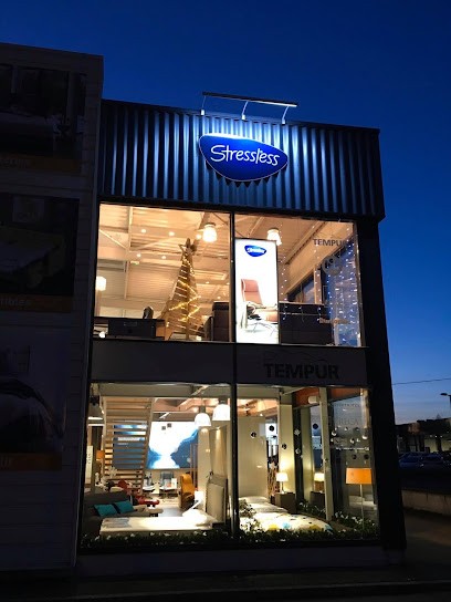 Espace Stressless Bourg-en-Bresse - Fauteuil relax - Canapés, Magasin de Meubles et Décoration à Viriat
