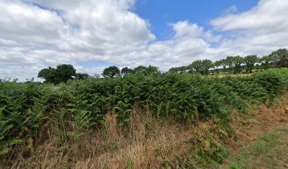 Bertho Loïc, Magasin de Meubles et Décoration à Plumelec