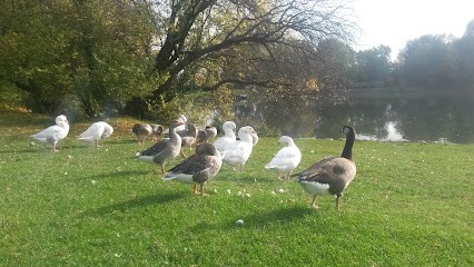 Mathieu Philippe Menuiserie, Magasin de Meubles et Décoration à La Sentinelle