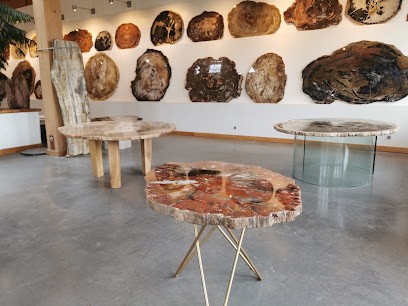 L'Araucaria Bois Pétrifié, Magasin de Meubles et Décoration à La Pierre