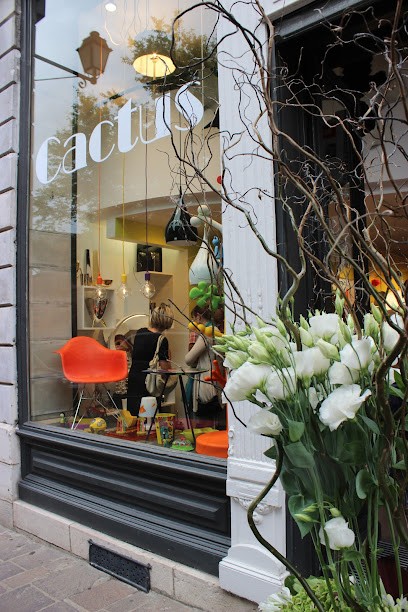 Cactus, Magasin de Meubles et Décoration à Rodez