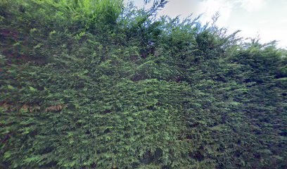 Metz Jean-Pierre, Fabricant de Meubles à Larringes