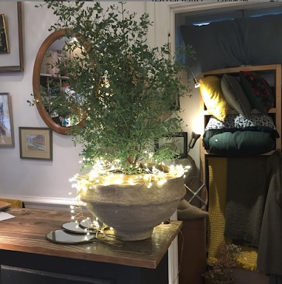 Terre De Lin, Magasin de Meubles et Décoration à Honfleur