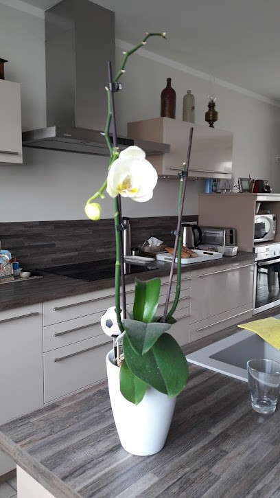 Sauvetre Christian, Magasin de Meubles et Décoration à La Crèche