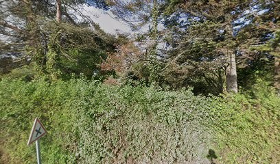 Doraphé Philippe, Magasin de Meubles et Décoration à Joganville