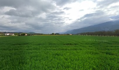 Rainbeau, Fabricant de Meubles à Saint-Sauveur