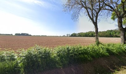 Haméon Philippe, Magasin de Meubles et Décoration à Guémené-Penfao