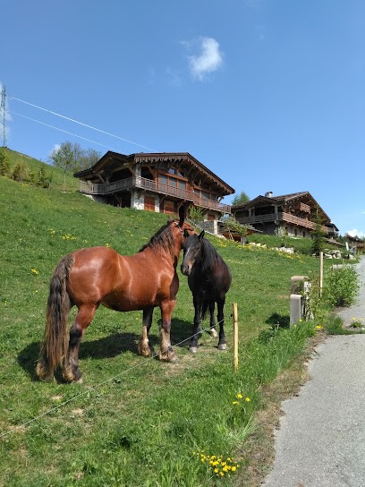 MONTAGNART, Magasin de Meubles et Décoration à Megève