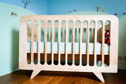 GRAINE D'EBENISTE, Fabricant de Meubles à Argonay