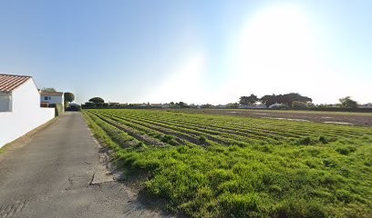 Colleville Franck EURL, Magasin de Meubles et Décoration à Noirmoutier-en-l'Île