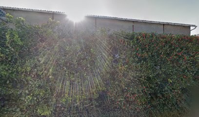 Pagès Père et Fils, Magasin de Meubles et Décoration à Lacaune