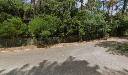MCRÉA, Magasin de Meubles et Décoration à Lège-Cap-Ferret
