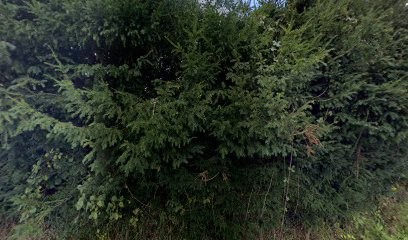 Bessuejouls Vincent, Magasin de Meubles et Décoration à Inzinzac-Lochrist