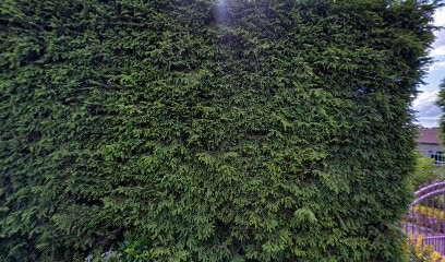 Hatier René, Magasin de Meubles et Décoration à Lamarche