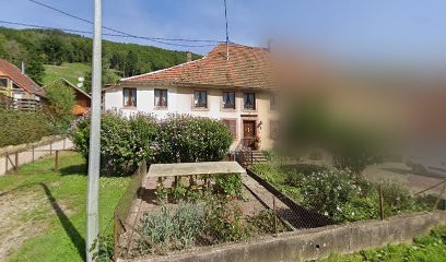 Werver Bruno, Magasin de Meubles et Décoration à Steige