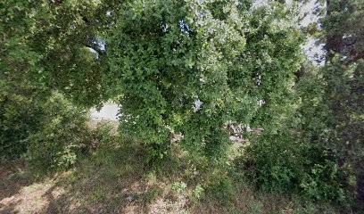 Basmadjian Vahram, Magasin de Meubles et Décoration à Ginasservis